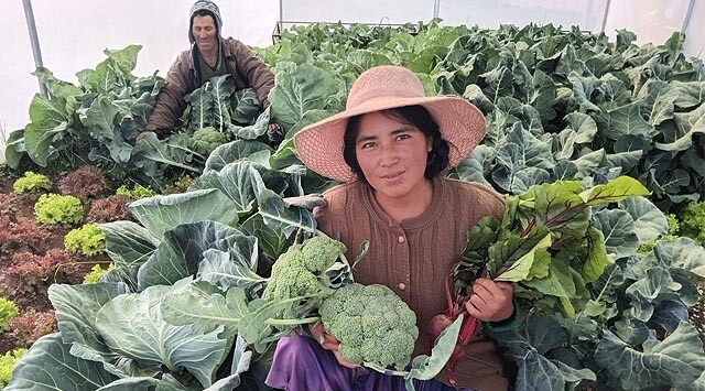 We promote family farming in the face of climate change