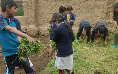 Preparing the land for biogardens