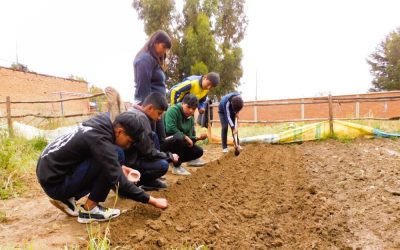 Siembra de huertos escolares en Cochabamba